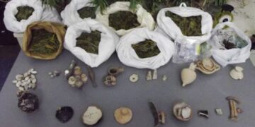 Γρεβενά: Αρχαία νομίσματα και ναρκωτικά είχε στην κατοχή του 51χρονος