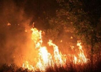 Εξιχνιάστηκε περίπτωση εμπρησμού σε περιοχή της Καστοριάς – Συνελήφθη 54χρονος