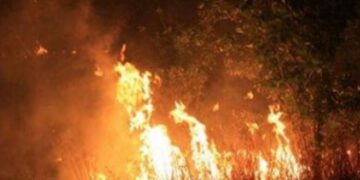 Εξιχνιάστηκε περίπτωση εμπρησμού σε περιοχή της Καστοριάς – Συνελήφθη 54χρονος