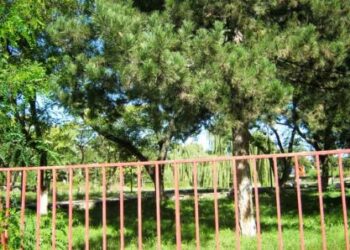 Συγκλόνισε την Πτολεμαΐδα ο απαγχονισμός 47χρονου