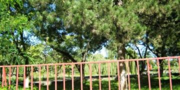 Συγκλόνισε την Πτολεμαΐδα ο απαγχονισμός 47χρονου