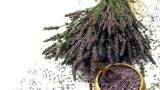 Ενημερωτική εκδήλωση για τα αρωματικά και φαρμακευτικά φυτά στο Άργος Ορεστικό Καστοριάς