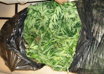 Κατασχέθηκαν πάνω από 110 γραμμάρια ακατέργαστης κάνναβης σε περιοχή της Κοζάνης   