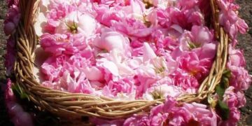 Συνεχιζόμενη ανοδική πορεία στο Συνεταιρισμό Αρωματικών Φυτών Βοΐου Κοζάνης