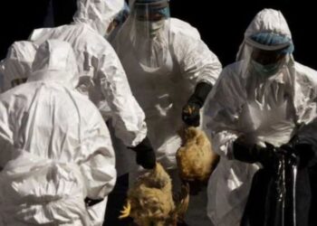 Τμήμα Κτηνιατρικής Π.Ε. Κοζάνης: Πολυάριθμα κρούσματα της γρίπης σε εκτρεφόμενα πουλερικά αλλά και σε άγρια πτηνά