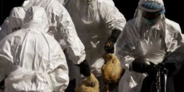 Τμήμα Κτηνιατρικής Π.Ε. Κοζάνης: Πολυάριθμα κρούσματα της γρίπης σε εκτρεφόμενα πουλερικά αλλά και σε άγρια πτηνά