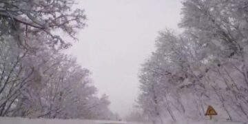 Φλώρινα – Βίγλα Πισοδερίου: Απολαύστε την πανέμορφη διαδρομή σε ένα fast forward βίντεο