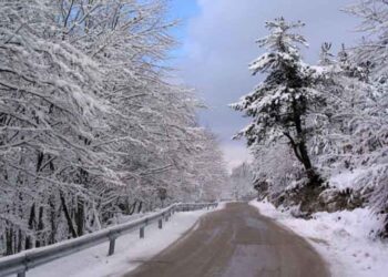 Γρεβενά: Στους -23 °C νωρίς το πρωί η θερμοκρασία στους -12 αυτή τη στιγμή – Σαράντα δύο περιστατικά από τον πάγο αντιμετωπίστηκαν στο Γενικό Νοσοκομείο Γρεβενών