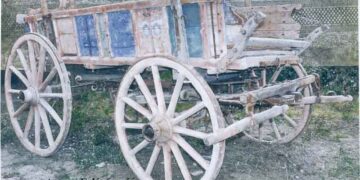 Από τη Γεωργοκτηνοτροφική  Εορδαία, το “ΔΙΠΛΟ ΑΛΟΓΟΚΑΡΟ “ – Από την στήλη του κ. Γ. Καζαντζή στον Παλμό 18/01/2017