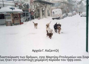 Χειμωνιάτικη θέα της κεντρικής Λεωφόρου (25ης Μαρτίου) την αντίστοιχη εποχή του παρελθόντος  – Από την στήλη του κ. Γ. Καζαντζή στον Παλμό 11/01/2017