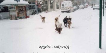 Χειμωνιάτικη θέα της κεντρικής Λεωφόρου (25ης Μαρτίου) την αντίστοιχη εποχή του παρελθόντος  – Από την στήλη του κ. Γ. Καζαντζή στον Παλμό 11/01/2017