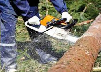 Τραγικό περιστατικό στο Βελβεντό – Έκοψε δέντρο που τον πλάκωσε – Νεκρός 60χρονος άντρας