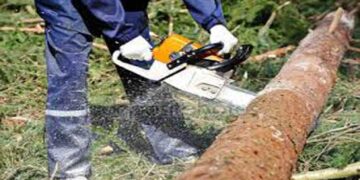 Τραγικό περιστατικό στο Βελβεντό – Έκοψε δέντρο που τον πλάκωσε – Νεκρός 60χρονος άντρας