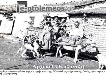 Το σενάριο της φωτογραφίας έχει έδρα την Κοινότητα του παρελθόντος, Τζουμάς ή Αμύγδαλα, με τελική κατάληξη τη Χαραυγή, της Επαρχίας Εορδαίας το 1964 – Από την στήλη του κ. Γ. Καζαντζή στον Παλμό 04/10/2017