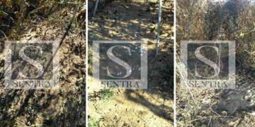 Καστοριά: «Μπούκαραν» και… αλώνισαν 3 στρέμματα φασόλια!