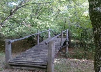 Κοζάνη: Χώρος δασικής αναψυχής και περιβαλλοντικής ενημέρωσης το δάσος Κουρί