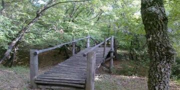 Κοζάνη: Χώρος δασικής αναψυχής και περιβαλλοντικής ενημέρωσης το δάσος Κουρί