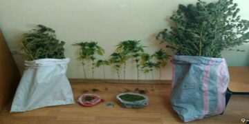 Καστοριά: Συνελήφθη 40χρονος με 2,5 κιλά κάνναβης