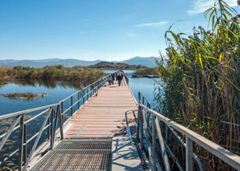 Φθινόπωρο στις Πρέσπες – Δείτε εκπληκτικές φωτογραφίες από το μαγευτικό τοπίο