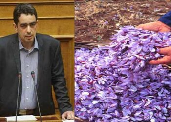 Γ. Θεοφύλακτος: Πράσινο φως για την εξαγωγή του κρόκου Κοζάνης στην Κίνα