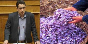 Γ. Θεοφύλακτος: Πράσινο φως για την εξαγωγή του κρόκου Κοζάνης στην Κίνα