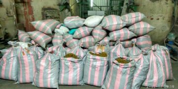 Πάνω από 650 κιλά ακατέργαστης κάνναβης καταστράφηκαν σήμερα σε υψικάμινο στο εργοστάσιο του ΑΗΣ Καρδιάς