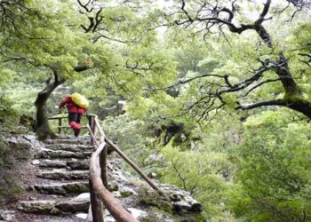 Η απίστευτη ιστορία του ορειβάτη Ευάγγελου Καραγιάννη που χάθηκε στο Βυθό Βοΐου – Δείτε πως σώθηκε από την Πυροσβεστική Υπηρεσία Κοζάνης