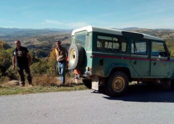 Εγκλωβίστηκε λύκος στην Εγνατία οδό (Φωτογραφίες)