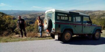Εγκλωβίστηκε λύκος στην Εγνατία οδό (Φωτογραφίες)