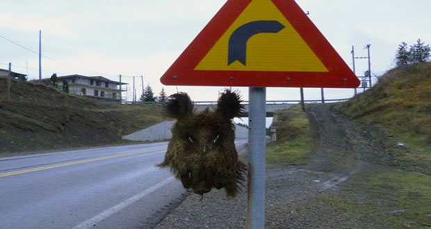 Κρέμασαν κεφάλι αγριογούρουνου σε πινακίδα στα Γρεβενά