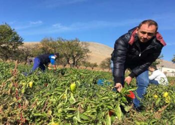 Η Πιπεριά Φλωρίνης και οι συνταγές της γιαγιάς κατακτούν τα καλύτερα Delicatessen του κόσμου