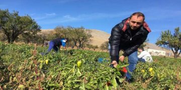 Η Πιπεριά Φλωρίνης και οι συνταγές της γιαγιάς κατακτούν τα καλύτερα Delicatessen του κόσμου