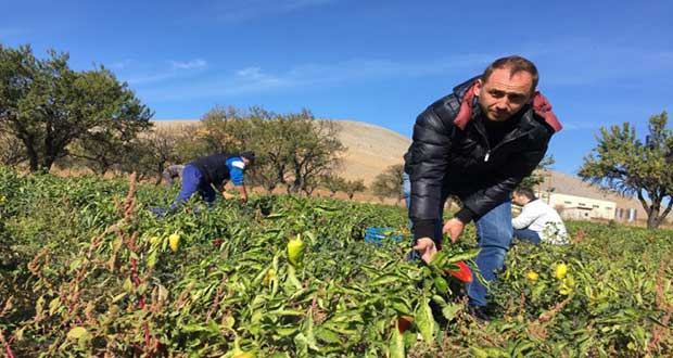 Η Πιπεριά Φλωρίνης και οι συνταγές της γιαγιάς κατακτούν τα καλύτερα Delicatessen του κόσμου