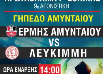 Τη Κυριακή στις 2 (δύο) το μέσημέρι Ερμής Αμυνταίου- Λευκίμμη