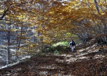 Μονοπάτια «Ειρήνης» στην περιοχή του Λεχόβου