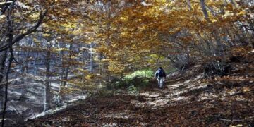 Μονοπάτια «Ειρήνης» στην περιοχή του Λεχόβου
