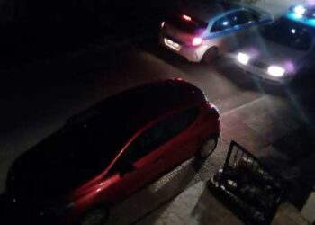 Κοζάνη: Κριάρι ξέφυγε από μαντρί και άρχισε να χτυπά αυτοκίνητα (Φωτογραφίες)