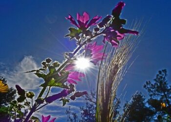 Ανεβαίνει η θερμοκρασία σήμερα – Αναλυτική πρόβλεψη