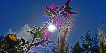 Ανεβαίνει η θερμοκρασία σήμερα – Αναλυτική πρόβλεψη