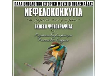 ‘‘Νεφελοκοκκυγία’’: Η έκθεση των Γεωργίου Κωστικίδη και Δημητρίου Καλιακούδα – Από τα παραπολιτικά του Παλμού 06/12/2017