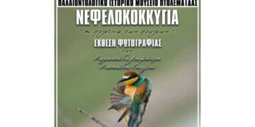 ‘‘Νεφελοκοκκυγία’’: Η έκθεση των Γεωργίου Κωστικίδη και Δημητρίου Καλιακούδα – Από τα παραπολιτικά του Παλμού 06/12/2017