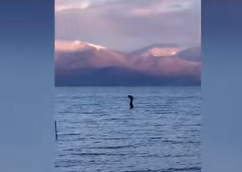 Δείτε το βίντεο από τη Μεγάλη Πρέσπα που έγινε… viral