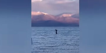 Δείτε το βίντεο από τη Μεγάλη Πρέσπα που έγινε… viral