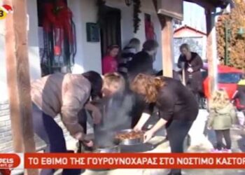 Αναβίωσε το έθιμο της γουρουνοχαράς στο Νόστιμο Καστοριάς (Βίντεο)
