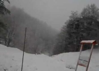 Ισχυρή χιονόπτωση στη Βασιλίτσα Γρεβενών (Βίντεο)