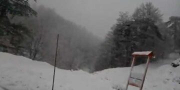 Ισχυρή χιονόπτωση στη Βασιλίτσα Γρεβενών (Βίντεο)