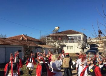 Κοζάνη: Εξέβανε τα μωμοέρια…