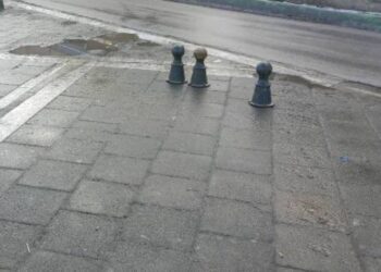 Πτολεμαΐδα: ΜΠΑΤΕ ΣΚΥΛΟΙ ΑΛΕΣΤΕ ! – Ο Επίκαιρος καταγράφει