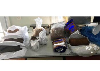 Σύλληψη δύο ατόμων σε περιοχή της Καστοριάς για μεταφορά τριών μη νόμιμων μεταναστών οι οποίοι κατείχαν πάνω από 7 κιλά αδασμολόγητου καπνού