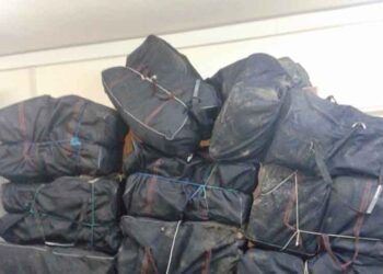 Φλώρινα: Γαϊδουράκια φορτωμένα με ναρκωτικά